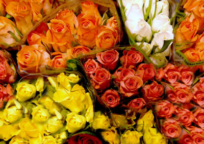 Blumen