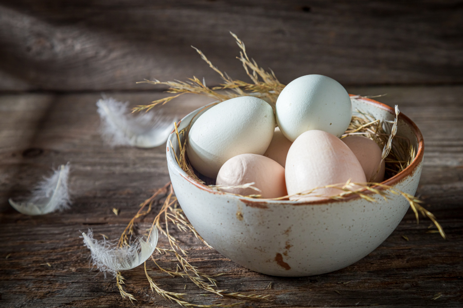 Eier